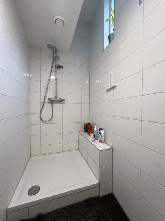 Stadslogement Goudsteeg 19B Apartman Zwolle  Kültér fotó